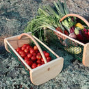 Maine Garden Hod Basket for Vegetable Gardening and Harvest Gathering or Farmhouse Decor, Pine and Oak with PVC Wire Mesh, USA Made, 16 x 9 in, 8 quart by GreenHaven Gardens