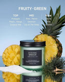 M&SENSE Candle Oceanic Breeze Scented, 11.6oz 70 Hour Long Lasting 2 Wick Pineapple & Mango Scent Natural Soy Candles for Home Scented, Stress Relief Gifts for Women/Men by CozyNest Decor
