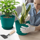 Plant Pots – 6 Inch Planters with Drainage Holes and Saucers, Flower Pots for Indoor and Outdoor Plants, Nursery Planting Pots (Pack of 5, Teal) by GreenHaven Gardens