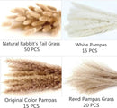 Dried Pampas Grass Decor, 100 Stems Pampas Grass Contains Bunny Tails Dried Flowers, Reed Grass Bouquet for Wedding Boho Flowers Home Table Decor, Rustic Farmhouse Party (17", White and Brown) by CozyNest Decor