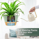 ZMTECH 12 Inch Hanging Planters for Indoor Plants, 2 Pack Self Watering Hanging Planter with Visual Reservoir, Hanging Pots for Plants Outdoor with Drainage Hole and Plant Hanger(Green) by CozyNest Decor
