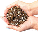Premium Aloe Vera Potting Soil Mix - (2 Quart Bag) by GreenHaven Gardens