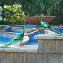 DREAMSOUL Garden Statues for Outside Metal Peacock Statue Peacock Garden Decor for Yard Art Decoration by GreenHaven Gardens