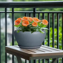 Ceramic Plant Pot - 11 Inch Planter for Indoor Plants Large Plant Pot with Drainage Hole and Saucer Round Outdoor Planter Modern Flower Pot for Home Decor Gray by GreenHaven Gardens
