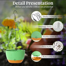 Bevgems 3 Pack 8.26 Inch Hanging Planters, Plastic Self-Watering Hanging Flower Plant Pot, Decorative Flower Pot Holder with Drainage Holes & Removable Tray for Indoor Outdoor Plants,Flowers, Herbs by GreenHaven Gardens