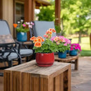 G EPGardening Ceramic Pots for Plants - 4 inch Succulent Pots Indoor Outdoor, Small Planter with Drainage Hole & Tray, Modern Flower Pot, Decorative Round Planter, Living Room Decor, Home Gifts, Red by GreenHaven Gardens