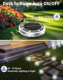 Solar Ground Lights Outdoor 26 Pack Waterproof, Upgraded Solar Garden Lights with 4 Side Light, Stainless Steel Solar Powered Disc Landscape Light for Walkway Pathway Lawn Yard Patio Deck-Cool White by CozyNest Decor
