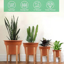 10 Inch Plastic-Flower-Pot-for-Indoor-Plants, 4 Pack Large Outdoor Planter Pot with Drainage Holes & Saucers, Resin Decorative Garden Pots Planters by CozyNest Decor