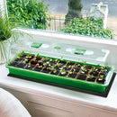 iPower GLHTMTSX2-A 2-Pack 10" x 20.5" Durable Waterproof Seedling Heat Mat Warm Hydroponic Plant Germination Starting Pad, Green by GreenHaven Gardens