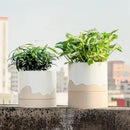 Nihow Ceramic Plant Pot: 6 Inch Planter with Drainage Hole & Saucer for Indoor & Outdoor Plants - Cylinder Round Flower Pot for Succulent/Herbs/Violets - White & Nature by CozyNest Decor