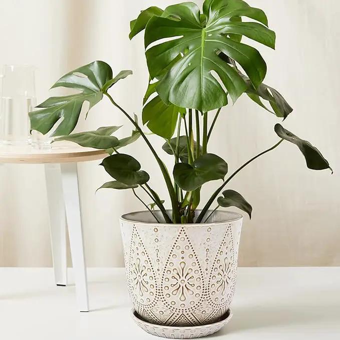 Gepege 8 Inch Plant Pot, Creamy White Ceramic Planter with Drainage Holes and Saucers for Plants Indoor and Outdoor Flower Pot, photo 5 of 7