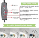 Super Bright Plant Grow Light Clip-on, 6000K Full Spectrum Gooseneck Growing Lamp with White Red Blue LEDs for Indoor Plants, Dimmable, Auto On/Off Timer 4/8/12Hrs, Independent Control Light Bars by GreenHaven Gardens