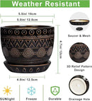 G EPGardening 5.5 Inch Ceramic Planter - Ceramic Plant Pot for Indoor Outdoor Plants, Boho Round Flower Pot with Drainage Hole and Saucer, Gifts for Plant Lovers, Office Garden Home Decor, Black by GreenHaven Gardens