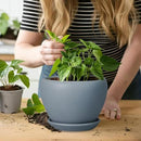 Ceramic Pot for Plants - 6 Inch Plant Pot Indoor with Drainage Hole and Saucer Decorative Planter for Outdoor Plants Modern Succulent Pot Round Flower Pot Gray by GreenHaven Gardens