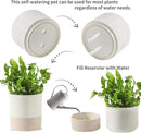Nihow Self Watering Plant Pot: 4.5 Inch Ceramic Planter with Drainage Hole & Water Storage Plus for Indoor & Outdoor Plants - Cylinder Flower Pot for Herbs/Violets - White & Brown by GreenHaven Gardens