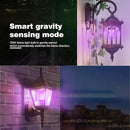 OMK 【Upgraded】 Purple LED Flame Light Bulbs - Flickering Light Bulbs with Gravity Sensing, E26 Base Flame Bulb, Holiday Christmas Indoor Outdoor Light Bulbs, Valentine Decoration Gifts Lights (2Pack) by GreenHaven Gardens