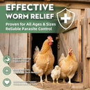 Chicken Dewormer Powder, All-Natural Health Formula, 1LB Pouch,Safe for Eggs, Effective for All Ages & Sizes, Chicken Wormer, Poultry Medicine Supplies (1, Pounds) by GreenHaven Gardens