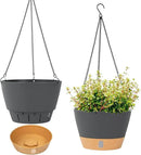 QCQHDU 2 Pack Hanging Planters for Indoor Outdoor Plants, 8 Inch Hanging Baskets Flower Pots with Reservoir Tray & Visible Water-Level by GreenHaven Gardens