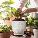 G EPGardening 6 Inch Plant Pot for Indoor Plants Outdoor Round Ceramic Planter Decorative Flower Pot with Drainage Hole and Saucer White by CozyNest Decor