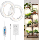 6" Ceiling Grow Lights for Indoor Plants, 168 LEDs Full Spectrum Grow Light, Halo Under Cabinet Plant Growing Lamp with 6/12/16H Auto Timer, 3 Spectrum Modes, 5 Brightness Levels (2-Head) by GreenHaven Gardens