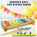 MINIARTIS Baby Musical Instruments Set - Montessori Musical Toys for Toddlers 1-3 | Modern Boho Kids Xylophone with Songbook | Neutral Colors Wooden Percussion Instruments | Preschool Educational 3+ by TinyTreasures Baby Boutique