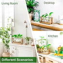 Ivolador Plant Propagation Station,Bulb Plant Terrarium with Wooden Stand,Unique Gardening Gifts for Women Plant Lovers,Hydroponic Indoor Planter Home Office Garden Wedding Decor-3 Bulb Glass Vases by GreenHaven Gardens