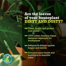 Leaf Cleaner Wipes for House Plants - Sparkling Leaf Shine for Indoor Plants - Houseplant Resource Center Plant Cleaning Wipes for Leaves - Root and Plant Duster Wipes (30 Count) by GreenHaven Gardens