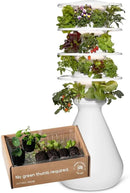 Farmstand Starter Kit with Glow Rings and 24 Seedling Credits | Medium Hydroponic Growing System Kit | Vertical Garden Planter Tower | 4ft 10in Tall by GreenHaven Gardens