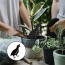 jojofuny 4pcs Garden Quail Stake Bird Yard Art Metal Statue Decor Animals Silhouette Outdoor Decoration Courtyard Ornaments for Lawns Backyard Patio Backyard Pathway by GreenHaven Gardens