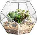 NCYP Small Silver Glass Geometric Terrarium for Succulents Air Plants, 6.89 x 6.89 x 5.9 Inches, Indoor Home Garden Planter Pot, Tabletop Decor Centerpiece, Handmade (Only Terrarium) by GreenHaven Gardens