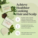 Kitsch Tea Tree Shampoo and Conditioner Set – Anti Dandruff Shampoo Bar & Conditioner Bar - Hair Care for All Hair Types - Free of Paraben, Sulfate & Silicone - Made in USA - 2 pcs by TinyTreasures Baby Boutique