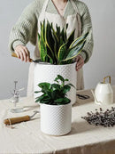 LE TAUCI 6+8+10 Inch Plant Pots Indoor, Ceramic Planter Pots for Plants, Raised Dots Flower Pots Indoor for Home and Office, Mid-Modern Century Pots Indoor with Drainage Hole and Silicone Plug, White by GreenHaven Gardens
