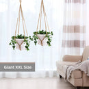 2 Pack Giant XXL 55 Inches Macrame Planter Hanger Large for 15 inch Pot + Swag Hook | Extra Large Hanging Planter for Indoor Plants | No Pot/Plant Included (XXL Jute) by GreenHaven Gardens