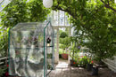 Greenhouse - Walk in Greenhouse with 8 Sturdy Shelves and PVC Cover for Indoor or Outdoor Use - 56 x 56 x 76-Inch Green House by Home-Complete by GreenHaven Gardens