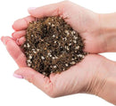 Fern + Perlite Soil Mix for Repotting and Planting Succulents and Cactuses - 2 Quart Bag by GreenHaven Gardens