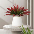 Artificial Agave Plants,Large UV Resistant Fake Agave Planters for Indoor and Outdoor Decorating Tropical Plant Succulents Greenery Indoor Decor (2Pack,22" Red) by CozyNest Decor