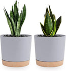 QCQHDU 6.5 inch Plant Pot, 2 Pack Planters for Indoor Plants with Drainage Holes & Saucer, Outdoor Flower Pots Home Garden Modern Decor by GreenHaven Gardens