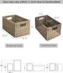 StorageWorks Wicker Storage Basket for Organizing, Medium Seagrass Storage Baskets with Built-in Handles for Pantry, Shelves,2-Pack by CozyNest Decor