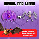 Dissect-It Simulated Synthetic Lab Dissection Toy, STEM Projects for Kids, Animal Science, Biology, and Anatomy Home Learning Kit, Bat by TinyTreasures Baby Boutique