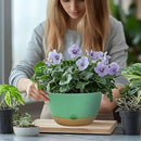 10 Inch Pots for Indoor Plants, Large Self Watering Planters with Drainage and Saucers, Plastic Outdoor Flower Pot, Set of 2, Green by GreenHaven Gardens