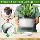 8 Inch Plant Pot, Ceramic Planter with Drainage and Saucer, Ceramic Pots for Plants, Indoor Plant pots,Ceramic Flower pots(Black + White, Plants NOT Included) by GreenHaven Gardens