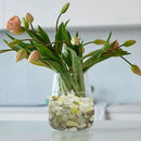 5LB Succulent Jade Pebbles, 3/8 Inch Natural Decorative Polished Stones, River Rocks for Vase, Flowerpot, Indoor and Garden Decoration by GreenHaven Gardens