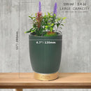 Earnest Living Essential Oil Diffuser Ceramic Artificial Succulent Plants Potted Diffuser 100 ml for Lavender Essential Oils Timers Night Lights and Auto Off Humidifier Aromatherapy Diffusers for Gift by TinyTreasures Baby Boutique