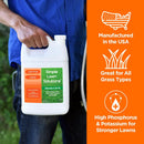 Ultimate 3-18-18 Lawn Food Liquid Fertilizer- Easy to Use Concentrated Spray- Any Grass Type- Summer & Fall - Simple Lawn Solutions- Turf Hardiness & Root Vigor- Phosphorus and Potassium (1 Gallon) by GreenHaven Gardens