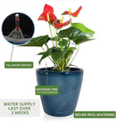 Dexceder 13x12 Self Watering Planter with Wheels Indoor Outdoor, Inner Pot Design, Thickened Large Floor Standing Flower Plant Pot with Water Level Indicator (Grayish Green Gradient) by GreenHaven Gardens