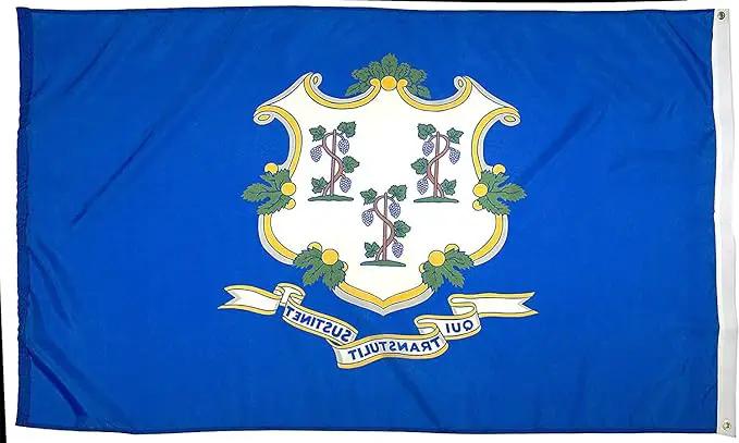FlagSource Connecticut Nylon State Flag, Made in USA, 4x6', photo 2 of 7