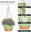 QCQHDU 2 Pack Hanging Planters for Indoor Outdoor Plants, 8 Inch Hanging Baskets Flower Pots with Reservoir Tray & Visible Water-Level by CozyNest Decor