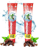 Vasu Dentup RED Herbal Toothpaste - Herbal Oral Care with Clove Oil & Mint - Fluoride-Free Natural Toothpaste for Daily Use - Fights Plaque, Freshens Breath, Soothes Gums - 5.03 fl.oz each (Pack of 2) by CozyNest Decor