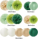 Sage Green-Boho Party-Decorations Paper Flowers Lanterns - 15PCS Birthday Gender Neutral Baby Shower Tissue Pom Poms Streamers, Champagne Gold Rustic Wedding Graduation Hanging Supplies Decor Hugfond by CozyNest Decor