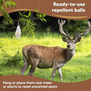 Deer Repellent, Rabbit Repellent Outdoor, Deer Deterrent for Plants, Keep Rabbits Out of Backyard, Deer and Rabbit Repellant, Deer Repellant Balls for Flowers Shrubs & Trees-8 Packs by GreenHaven Gardens
